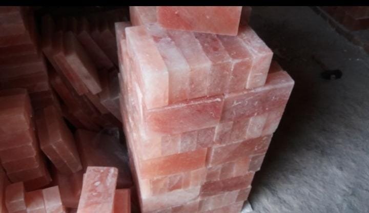 Salt Bricks