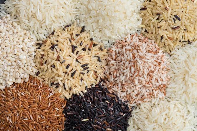 Rice